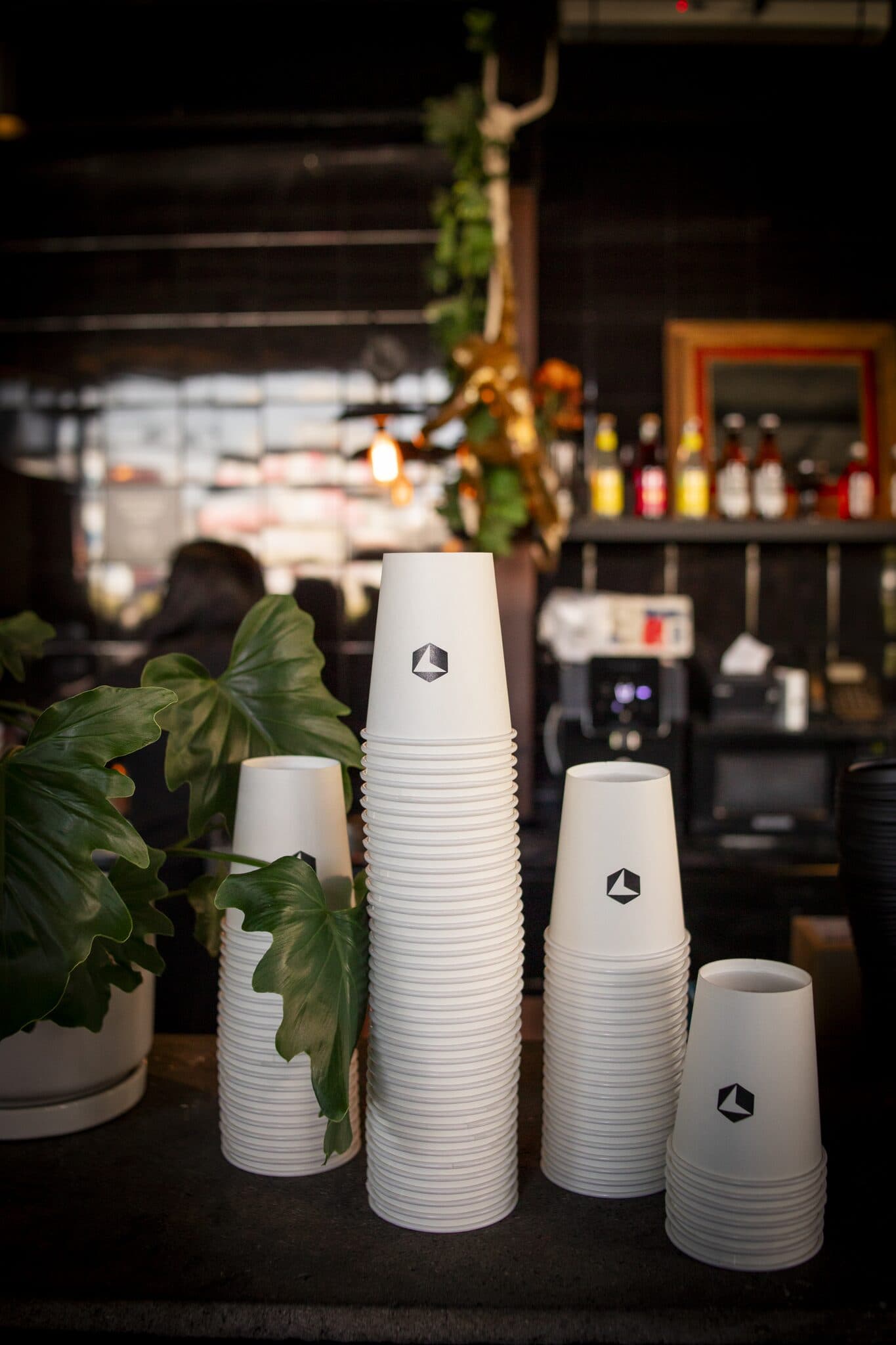 Cafe Cursor Mexico City — foto 13