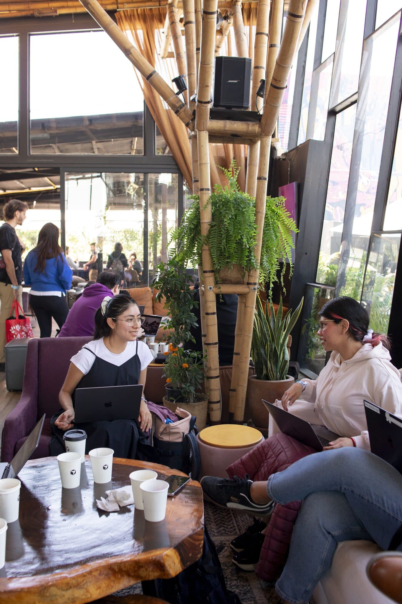 Cafe Cursor Mexico City — foto 39