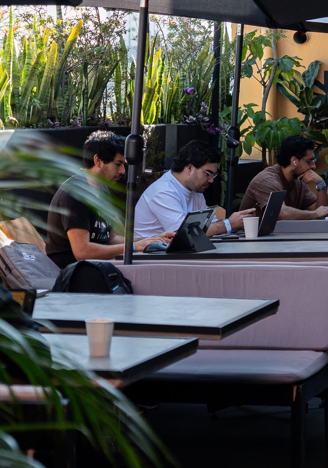 Cafe Cursor Mexico City — foto 55